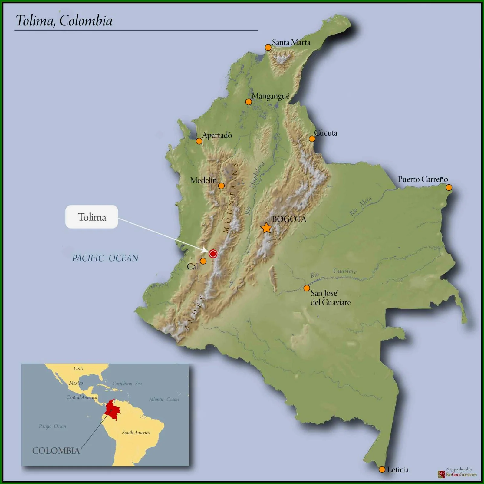 Colombia Ft-usa Organic Tolima Multicoop