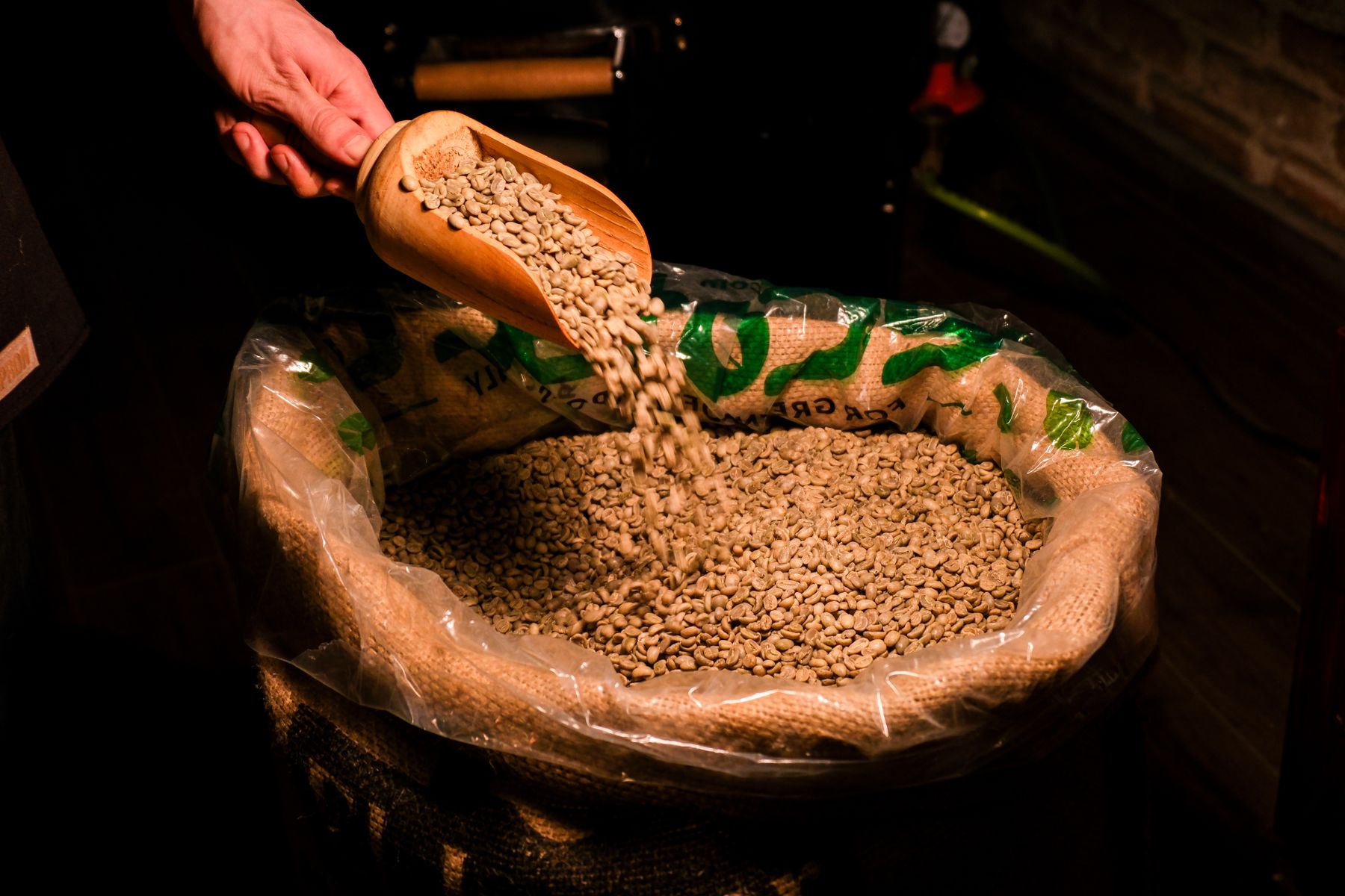 Raw green coffee being scooped into a jute sack